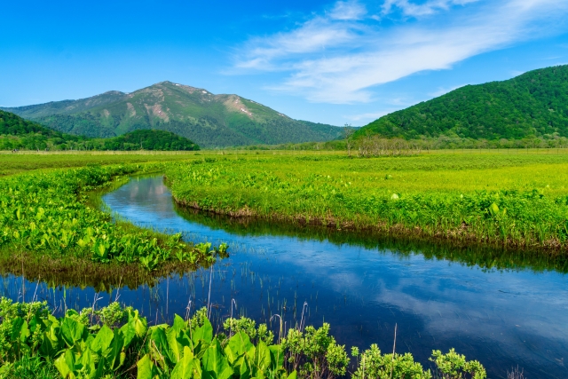 綺麗な風景